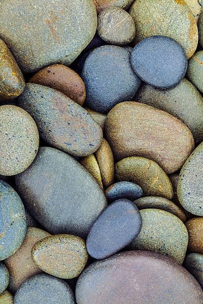 Jones, Adam 아티스트의 Pattern of smooth rounded stones on beach-Olympic National Park-Washington State작품입니다.
